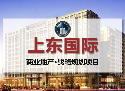战略定位案例【上东国际】——商业地产·战略规划项目