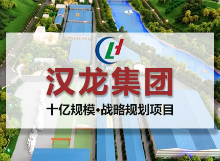 战略定位案例【汉龙集团】——十亿规模·战略规划项目