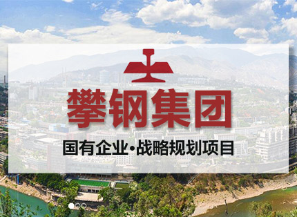 战略定位案例【攀钢集团】——国有企业·战略规划项目