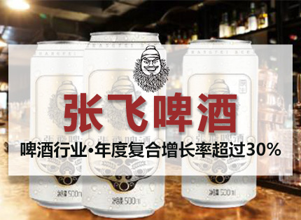 营销策划案例【张飞啤酒】——啤酒行业·品牌营销项目