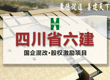 人力资源案例【华西集团·四川省六建】——国企混改·股权激励项目