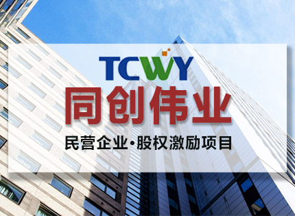 人力资源案例【同创伟业】——民营企业·股权激励项目