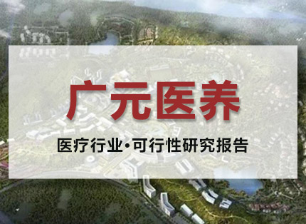 可行性报告案例【广元医养项目】——医疗行业·可行性报告项目