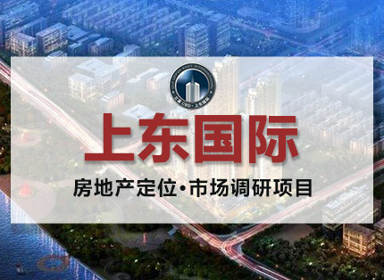 市场调研案例【上东国际】——房地产定位·市场调研项目