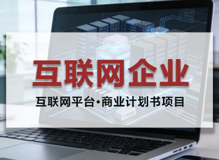 商业计划书案例【互联网企业】——互联网平台·商业计划书项目
